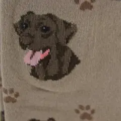 Novelty Socks 15.25" Chocolate Labrador Socks Premium Quality E & S Pet  -  Socks