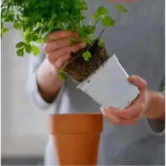 Premier Horticulture PRO-MIX Premium Organic Vegetable and Herb Mix with MYCOACTIVE, OMRI Listed, Loose Fill