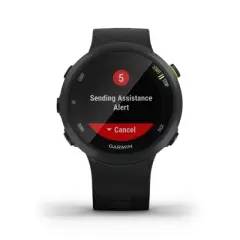 Garmin Forerunner 45 Smartwatch
