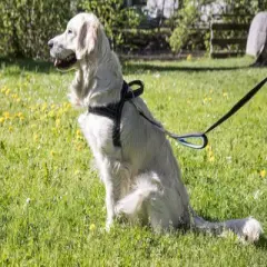 Happilax Adjustable Norwegian No Pull Dog Harness, Large