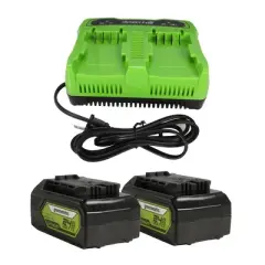 2pk 24V All Power USB Power Tool Battery Starter Kit with Dual Port Charger - Greenworks