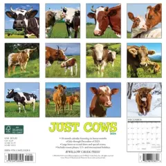 Willow Creek Press 2024 Wall Calendar 12"x12" Just Cows