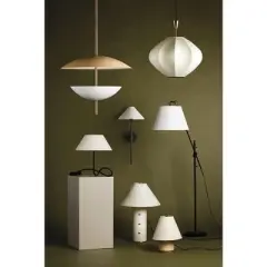 Troy Lighting Arden 1 - Light Pendant in  Patina Brass