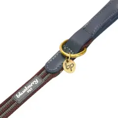 Blueberry Pet Polyester and Leather Dog Leash