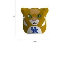 NCAA Kentucky Wildcats Plushie Mascot Pillow