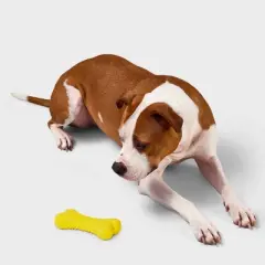 Rubber Bone Dog Toy - Boots & Barkley&trade; Yellow