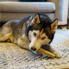 Mighty Paw Yak Cheese Dog Chews | Long-Lasting, 3-Ingredient, Odor-Free | Various Sizes