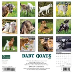 Willow Creek Press 2024 Wall Calendar 12"x12" Baby Goats
