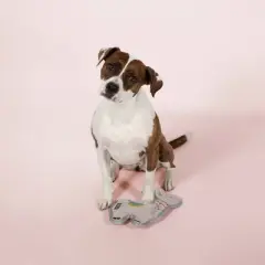 PetShop by Fringe Studio Llama Love You Durable Plush Dog Toy