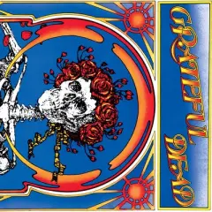 The Grateful Dead - Grateful Dead - Grateful Dead (Skull & Roses) (Clear Vinyl Yellow)
