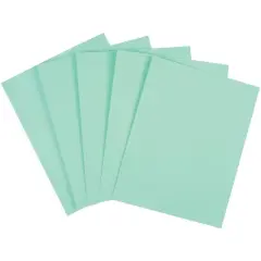 Staples 67 lb. Cardstock Paper 8.5" x 11" Green 250 Sheets/Pack (82995) 14839