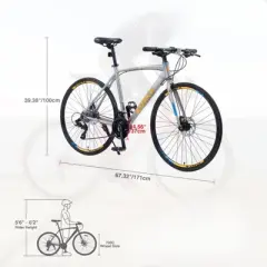 DSVIMOY Bicycles, 700c Road Bike 24 Speed, City Commuter Bicycle for Men Women, Silver, 67.32"*14.56"*39.37"