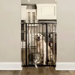 Carlson Extra Dogs Tall Walk Through Gate