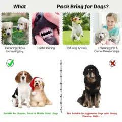 Itopfox 20Pcs Puppy Chew Toys for Teething, Dog Toys with Rope, Toothbrush, Treat Balls, Plush & Squeaky Toys for Small Medium Dogs