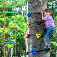 VEVOR Ninja Tree Climbing Kit, 12 Tree Climbing Holds, 6 Ratchet Straps, and a Climbing Ladder, Climbing Rocks for Kids and Adults Climber