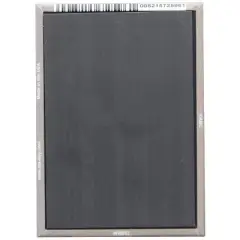 Ata Boy The Golden Girls Dorothy Pray For Brains 2.5 x 3.5 Inch Magnet