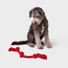 15" Rope Dog Toy - Boots & Barkley&trade; Red