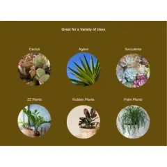 Fertilome Cactus Potting Mix Floral Cacti/Succulent Soil, 4qt