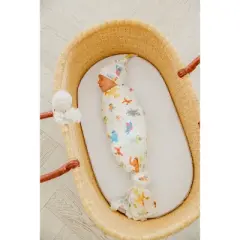 Copper Pearl Swaddle Blanket - Sesame Street