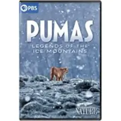 Nature: Pumas - Legends Of The Ice Mountains (DVD)
