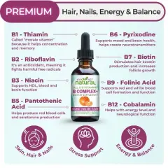 Why Not Natural Vitamin B Complex Liquid Drops &ndash; Organic, Vegan B1&ndash;B6, Biotin, Folate & Choline for Energy & Wellness