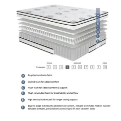 PAGED 12 Inch Mattress Luxury Comfort Hybrid Mattress with Highly Breathable Quilted Cover for Comfortable Sleep