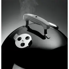 Weber Smokey Mountain Cooker