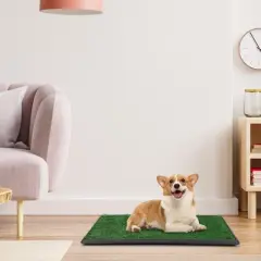 SEVOBAL Pet Training Pads and Potties Large Dog Potty Patch with Grass for Pet Training, Washable Indoor and Outdoor Puppy Pee Pad, Green, 30&ldquo;*20&rdquo;*1&ldquo;