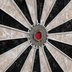 Eastpoint Bristle Dartboard