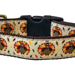 Midlee Thanksgiving Turkey Buckle Dog Collar- Made in The USA