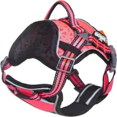 Dog Helios Dog Chest Compression Pet Harness and Leash Combo