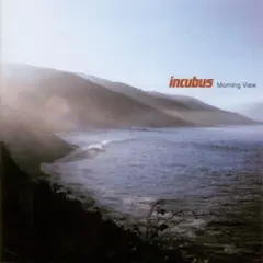 Incubus - Morning View (Vinyl)