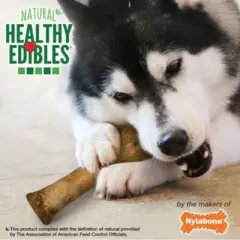 Nylabone Healthy Edibles Wholesome Roast Beef Flavor Dog Chews - Souper(1 Pack)