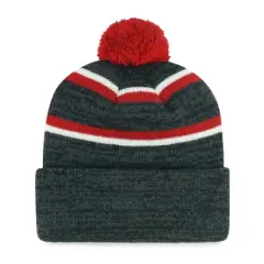 NBA Portland Trail Blazers Couliour Knit Beanie with Pom