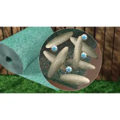 GROWTRAX Fine Fescue Mixture 100 sq ft