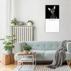 2026 Square Wall Calendar, Dog Portraits, 16-Month Black and White Photos with 180 Reminder Stickers (12x12 In)