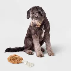 8.5" Chicken Drummie Dog Plush and Rope Toy - Boots & Barkley&trade;