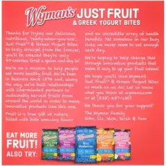 Wyman's Just Fruit Frozen Raspberries & Strawberries with Greek Yogurt Bites - 4ct/9.2oz