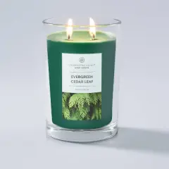 19oz Evergreen Cedar Leaf Jar Candle - Home Scents