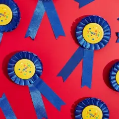 Blue Panda 12 Pack Blue Rosette Award Ribbons Set, Winner for Arts and Crafts (3 x 6 Inches)