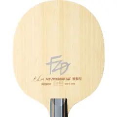 Butterfly Fan Zhendong CNF CS