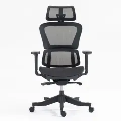NicBex Ergonomic Office Chair with Adjustable Tilt and Armrest, Computer Gaming Chair with Headrest & Lumbar Support, Swivel Chair for Office
