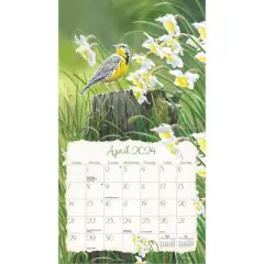 Lang 2024 Wall Calendar 24"x12" Songbirds