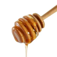 Pure Orange Blossom Honey - 12oz - Good & Gather&trade;