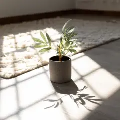 Textured Black Stoneware Planter by Foreside Home & Garden