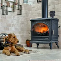 Hastings Home Heat-Powered Stove Fan for Wood Stoves or Fireplaces (Black)