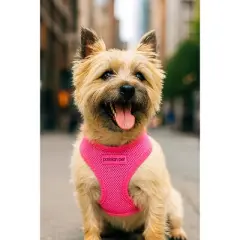 Parisian Pet 'Freedom Harness' for Dogs & Cats &ndash; Comfortable and Customizable Neon Pink Harness