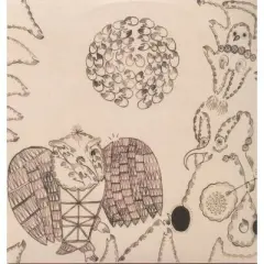 Devendra Banhart - Rejoicing in the Hands / Nino Rojo (Vinyl)