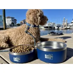 Black Rhino 42 Oz Non Slip Double Insulated Stainless Steel Dog Bowls - Blue
