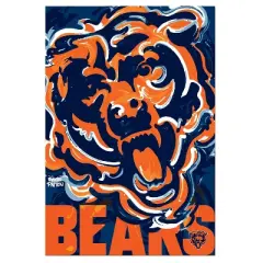 Evergreen NFL Chicago Bears Garden Suede Flag 12.5 x 18 Inches Indoor Outdoor Decor